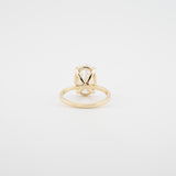 Oval Hidden Halo Lab Diamond Engagement Ring